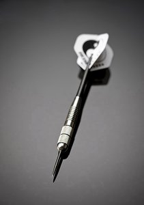 杭錦后旗展會有限責任公司